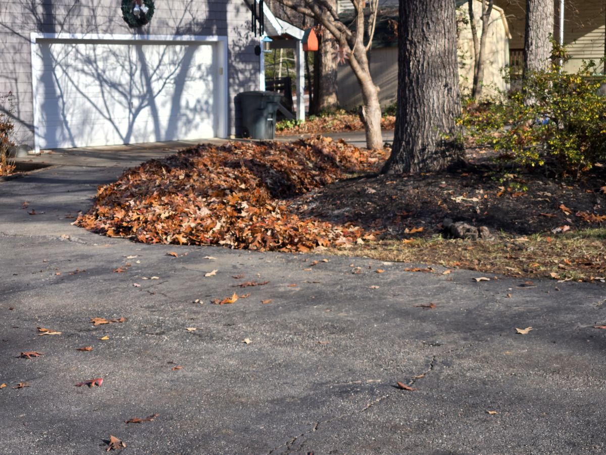 Leaf Removal for Lakeside Landscaping  in Gordonsville, VA