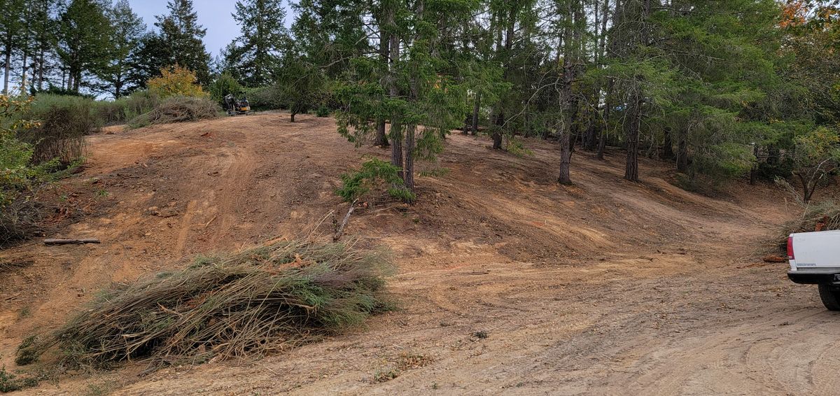 Land Clearing for Ren Levine Construction in Novato, CA