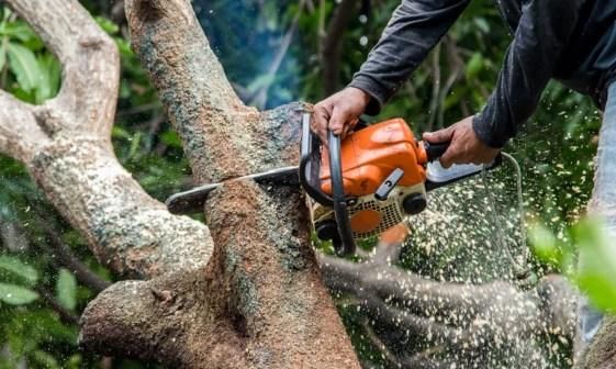 Tree Services for Broadway & McMullen Construction in Hattiesburg, MS