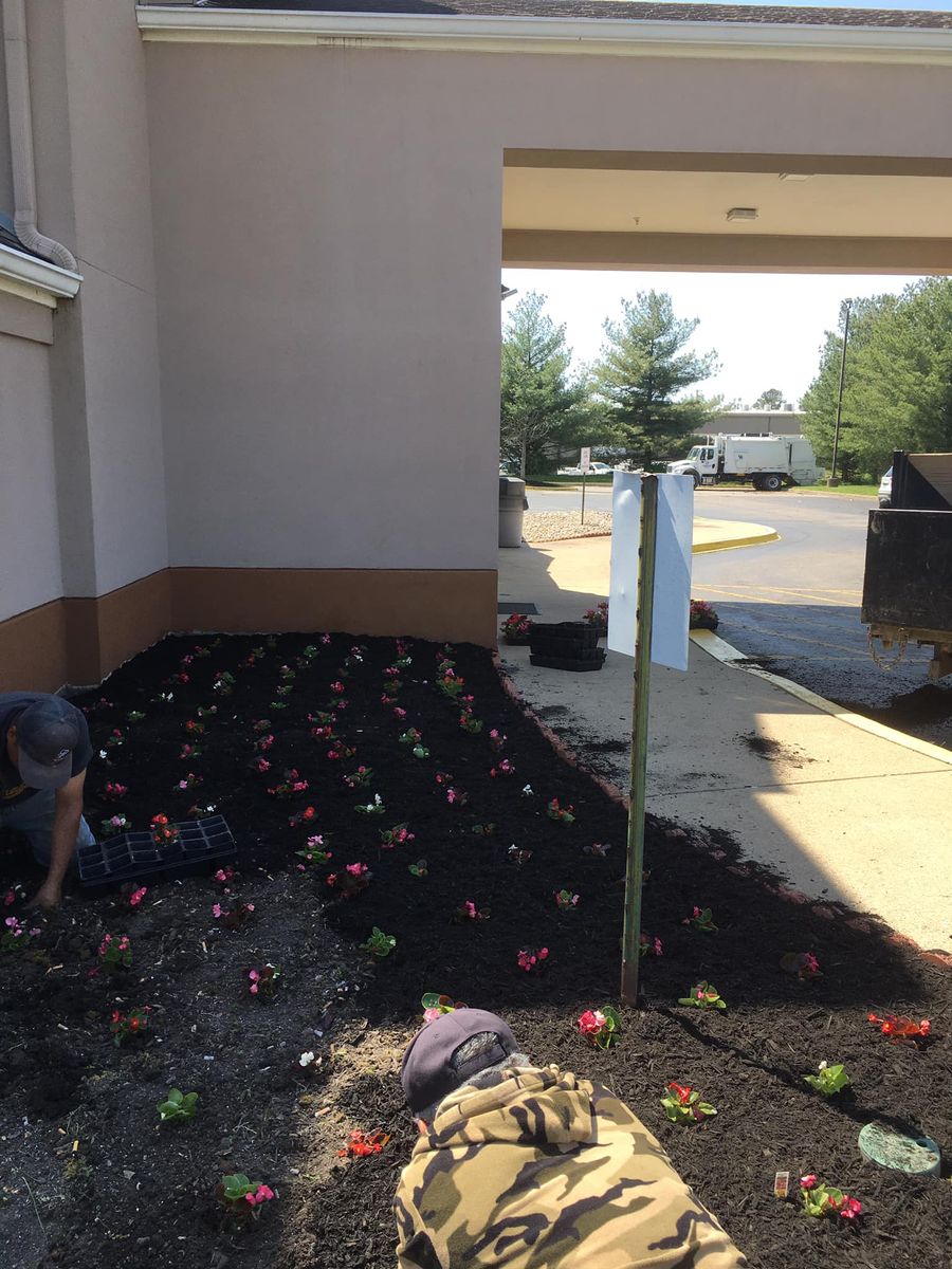 Mulch Installation for La Fountain Tree Service in Louisville, KY