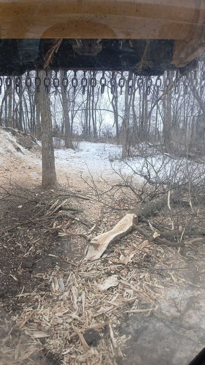 Tree Removal for Willing Trucking & Excavating in Evansville, WI