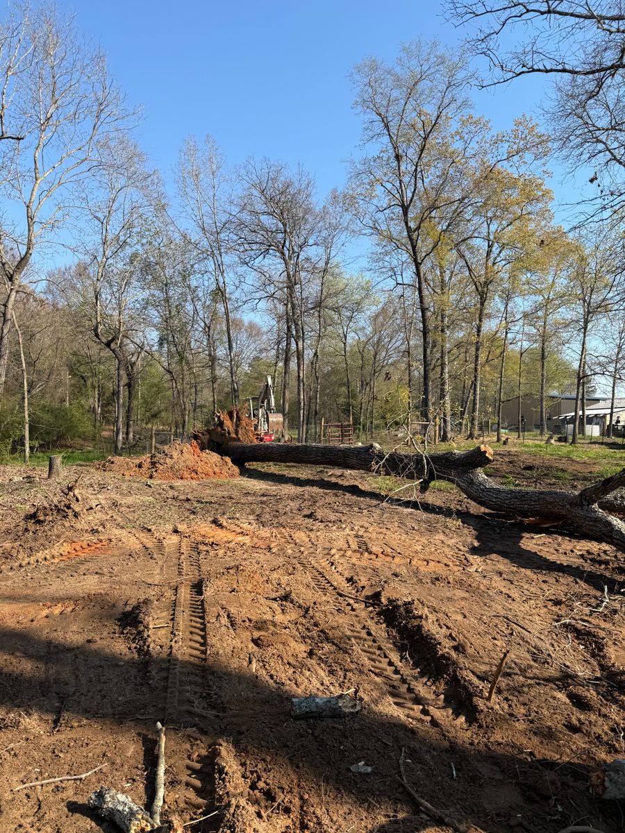 Land Clearing for T N L - Tree and Land Service in Reynolds, GA
