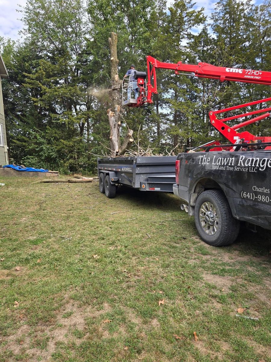 Tree Removal for Lawn Ranger Yard And Tree Service LLC in Ottumwa, IA