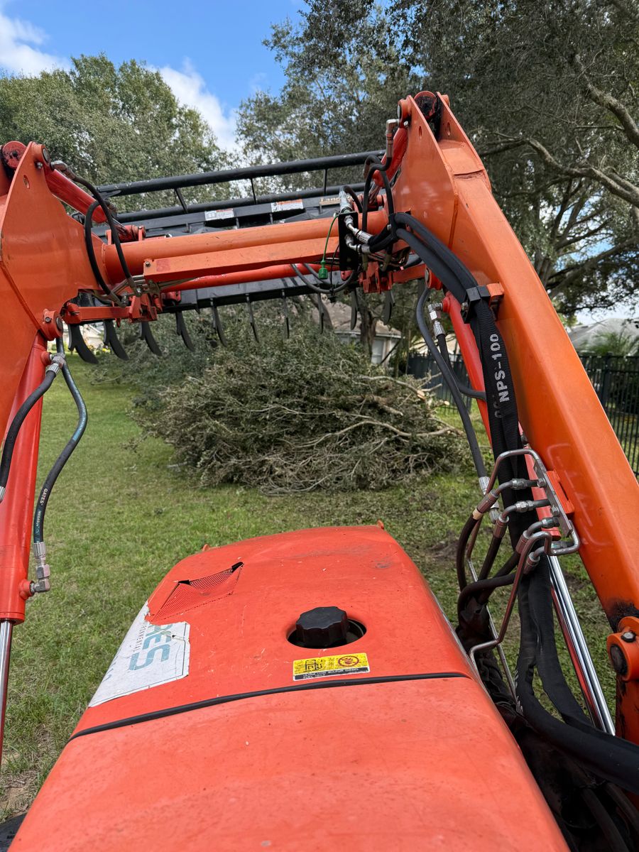 Fall Clean Up for Amerigrown Tree And Lawn in Apopka, FL