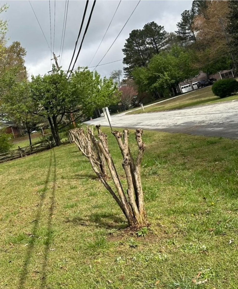 Mowing for Brumblebee's Landscaping & Cleaning Services in Loganville, GA