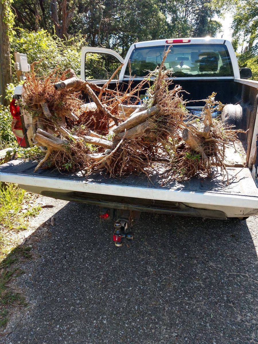 Debris Removal for Down & Dirty Lawn Svc  in Tallahassee, FL