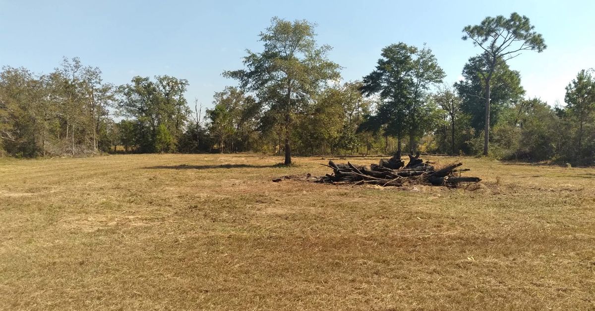 Seasonal Cleanup for Landrum’s Lawn & Tractor Services in Blountstown, FL