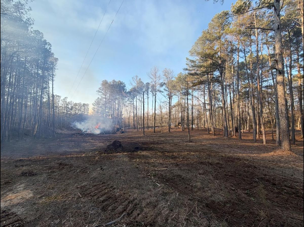 Forestry Mulching for Collins Constructors in Fyffe, AL