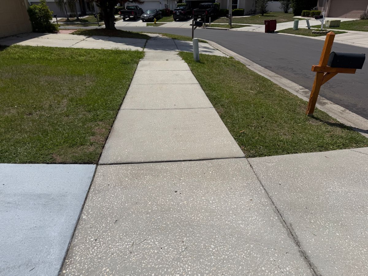 Pressure Washing for The Yardman in Tampa, FL