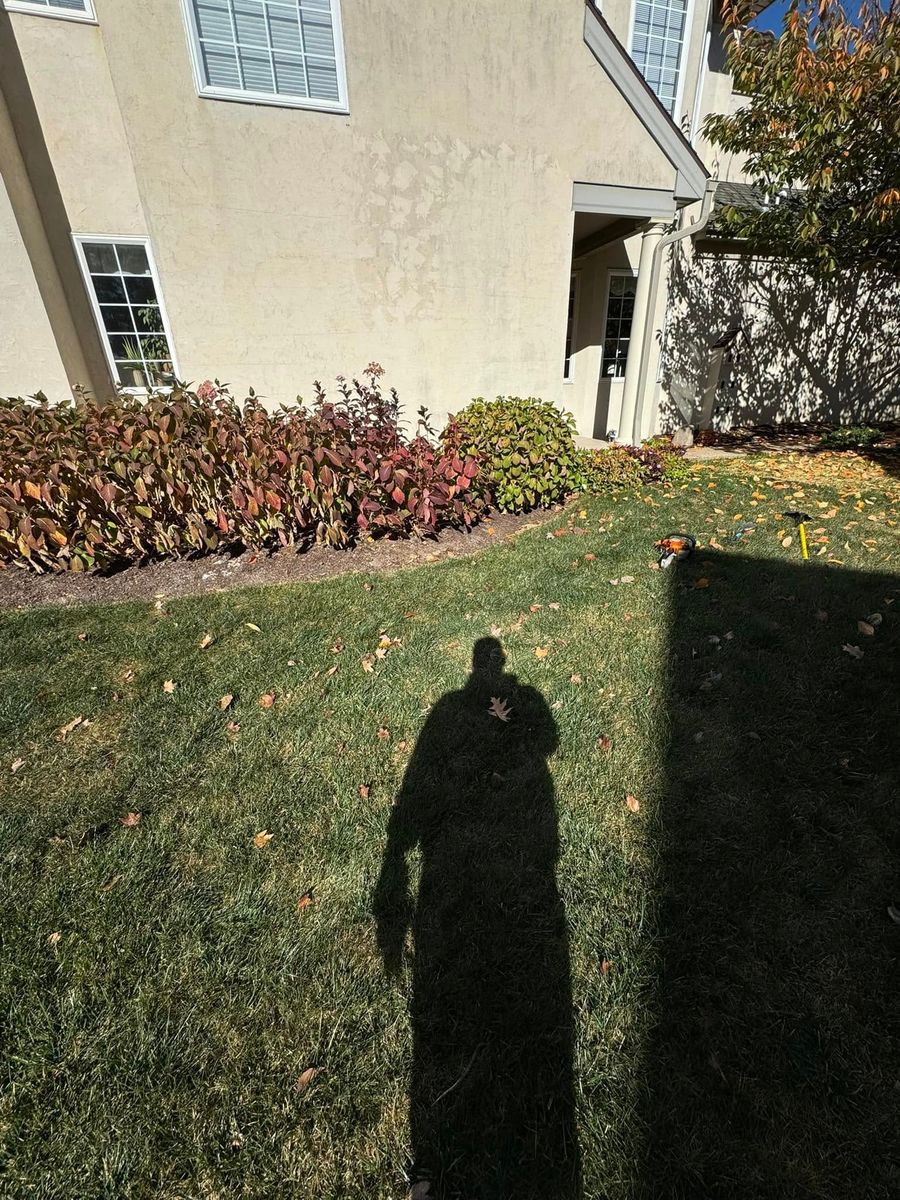 Leaf Removal Services for Landscape & Lawn Care Pros in Allentown, PA