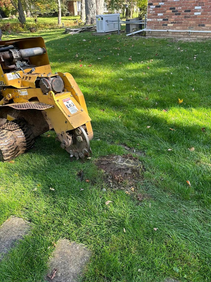 Stump Grinding for Mulch & Dig in West Bloomfield Township, MI