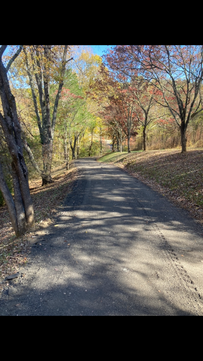 Driveway Regrading for 9999 Building and Renovation LLC in Warrenton, VA
