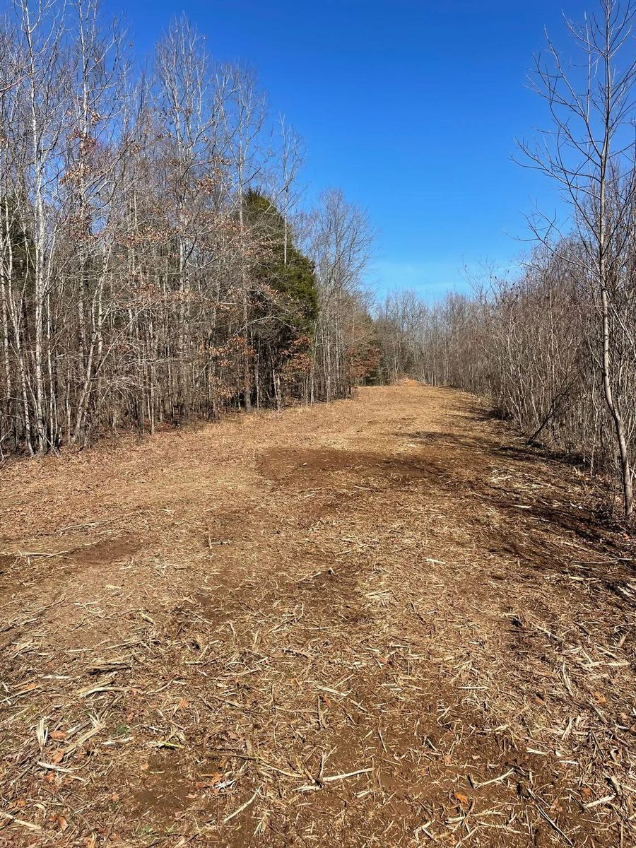 Forestry Mulching for Simmons land works in Sardis,, TN