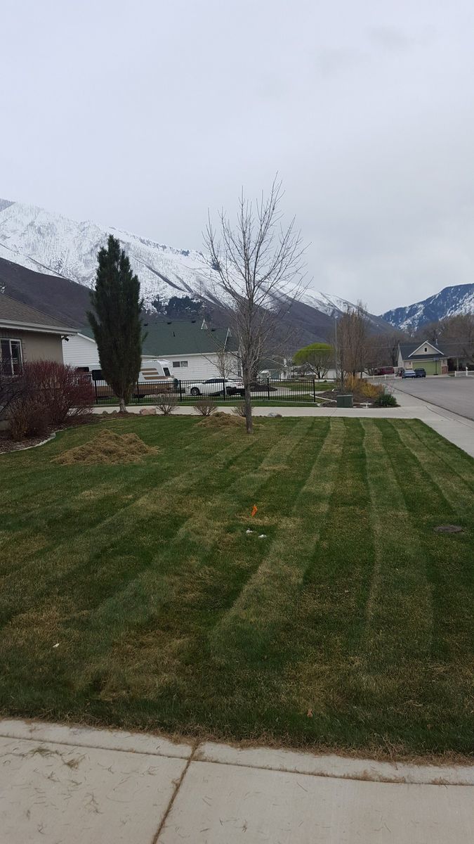 Mowing for Platinum Lawn Service in Santaquin, UT