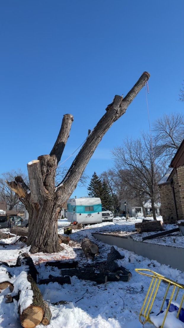 Tree Removal for K and Z Tree Care in Isanti County, MN
