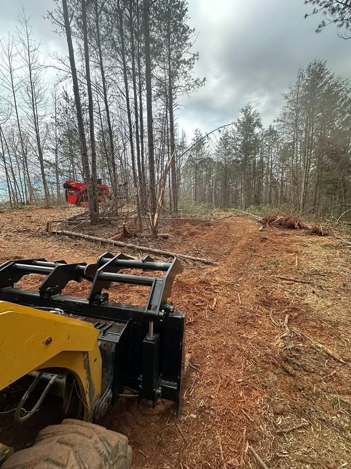 Forestry Mulching for Toney Site Services LLC in Rutherford County, NC