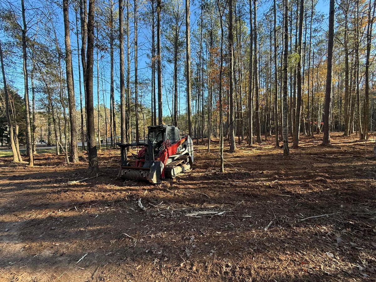 Forestry Mulching for Dirt Pro Land Solutions in Fayetteville, GA