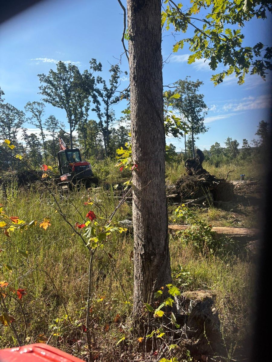 Forestry Mulching for TD Dirtworks in Tracy City, TN