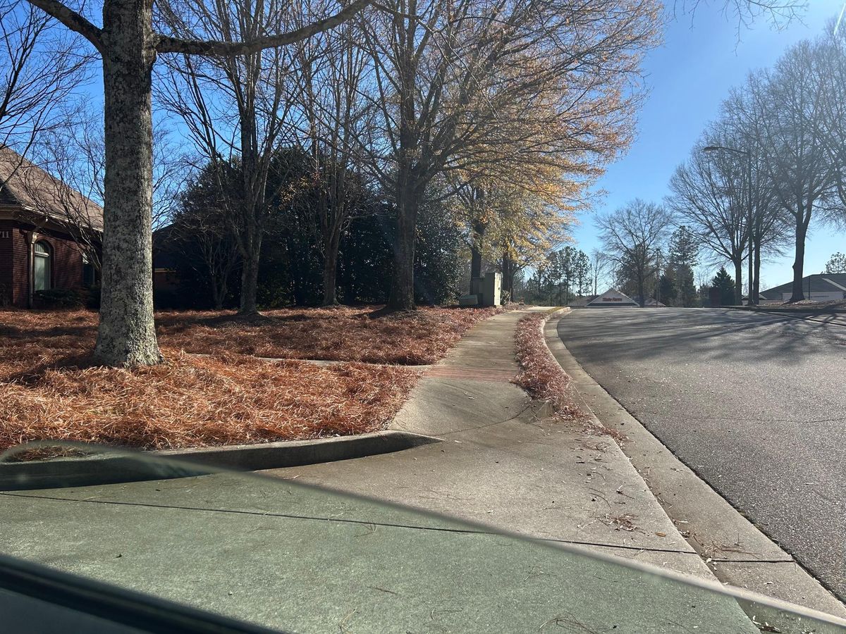 Pinestraw for BAM Another Pinestraw Lot in Flowery Branch, GA