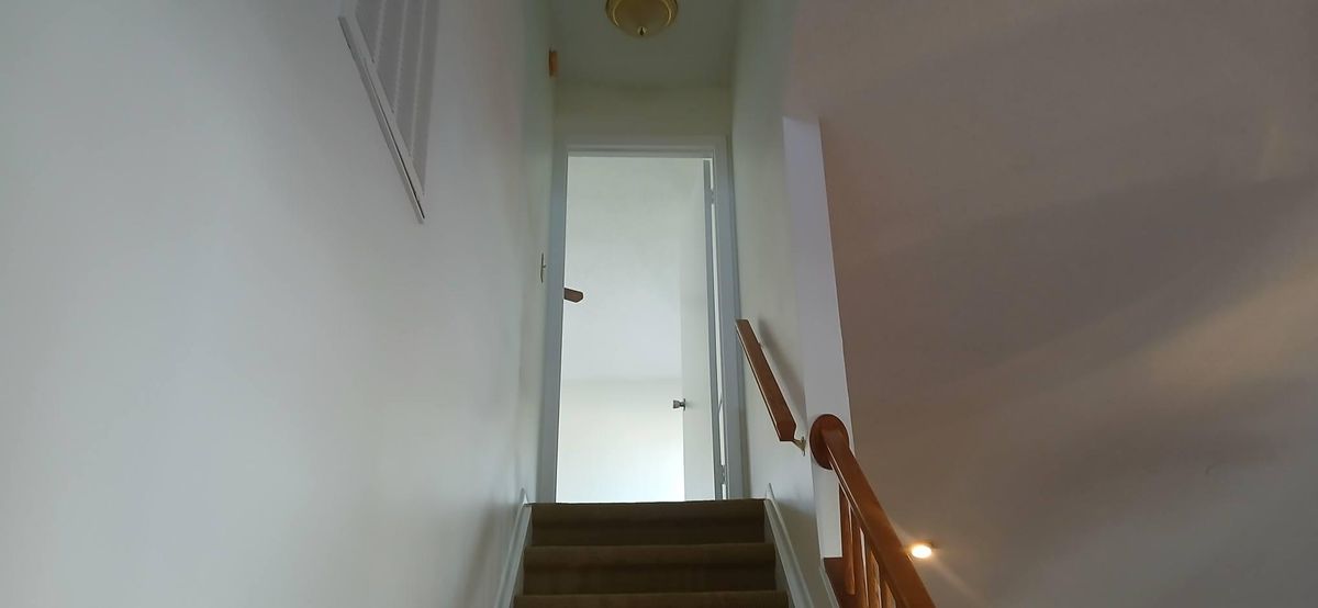 Repaints for Bradley Bradshaw Painting in Christmas, FL