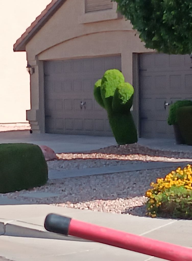 Shrub Trimming for Family Landscaping in Phoenix, AZ