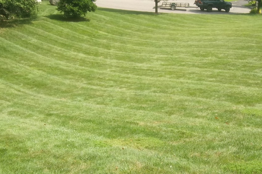 Artificial Turf for Grassy Turtle Services, LLC.  in Oxford, CT