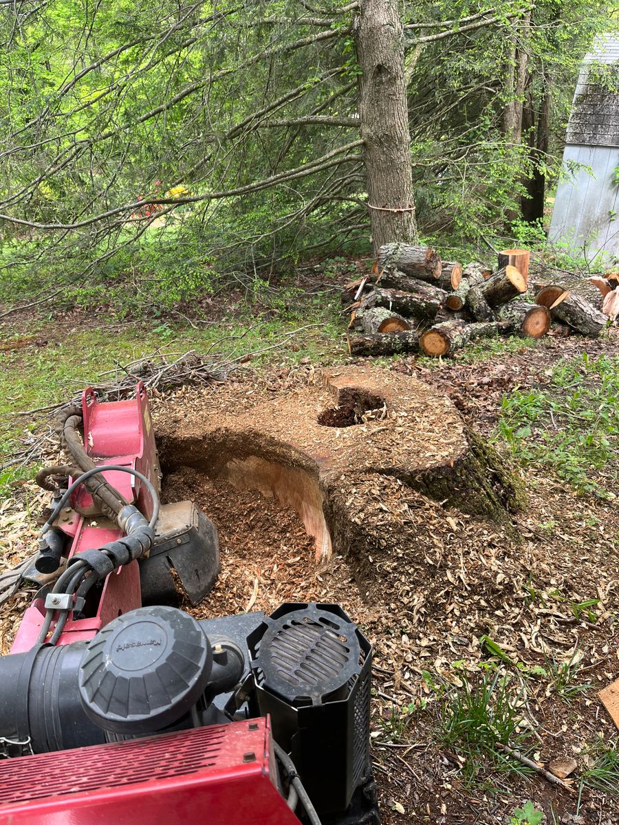 Stump Grinding for Deer Run Property Services in Rocky Gap, VA