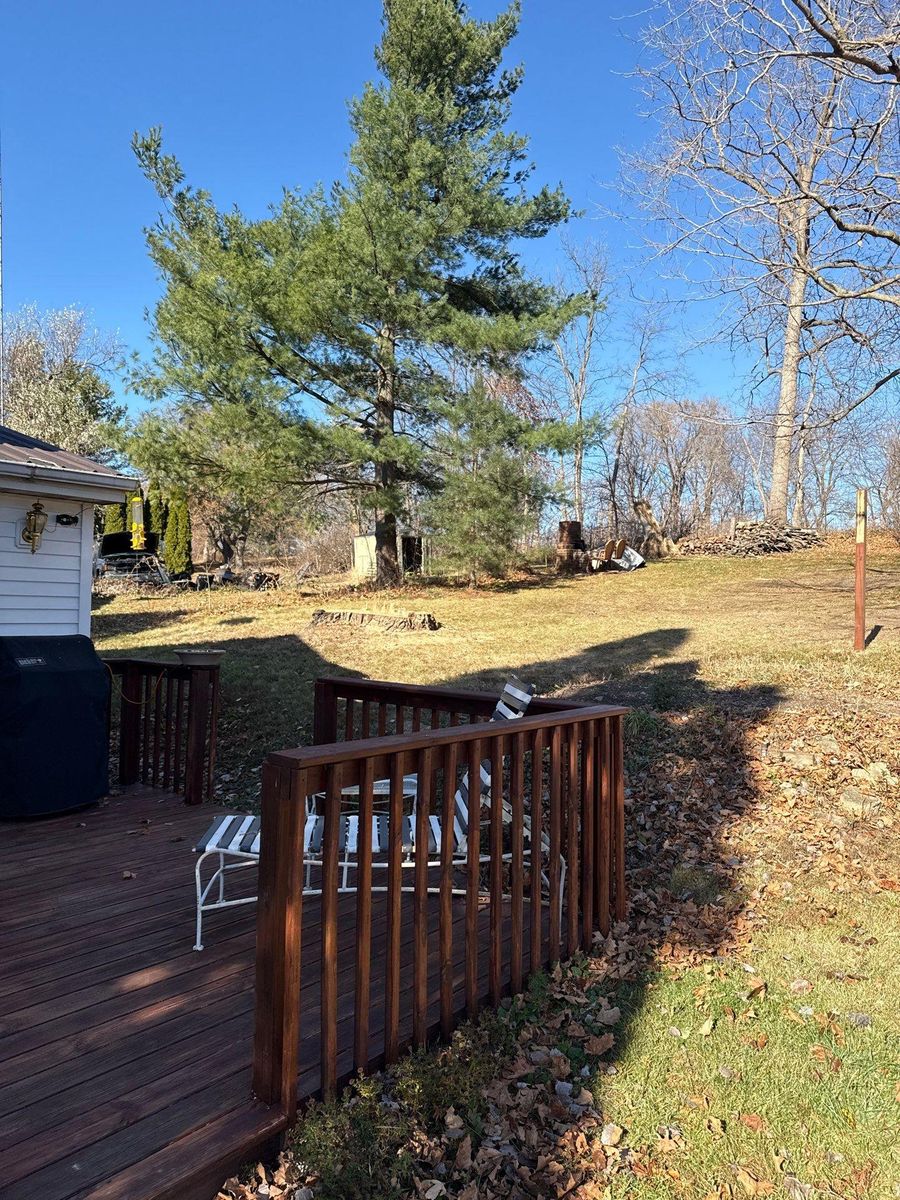 Fall Clean Up for Fransen's Tree Service  in Freeport, IL