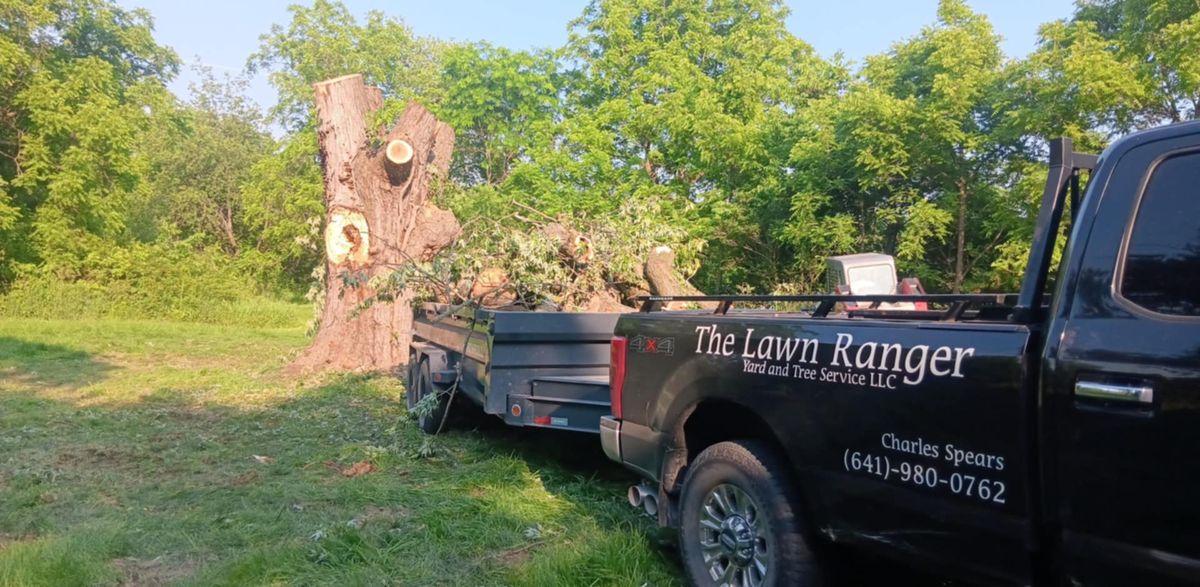 Tree Removal for Lawn Ranger Yard And Tree Service LLC in Ottumwa, IA