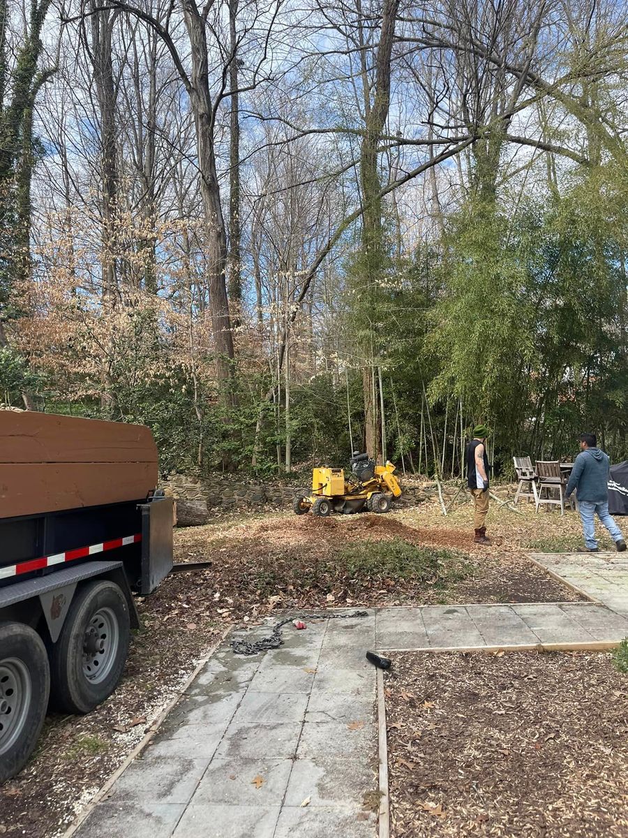 Stump Removal for Ricky's Tree Service & Property Care in Orange, VA