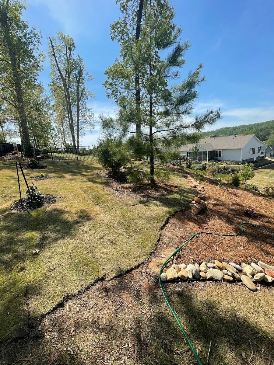 Tree Maintenance for Down To Earth Tree and Landscaping in Greenville, SC