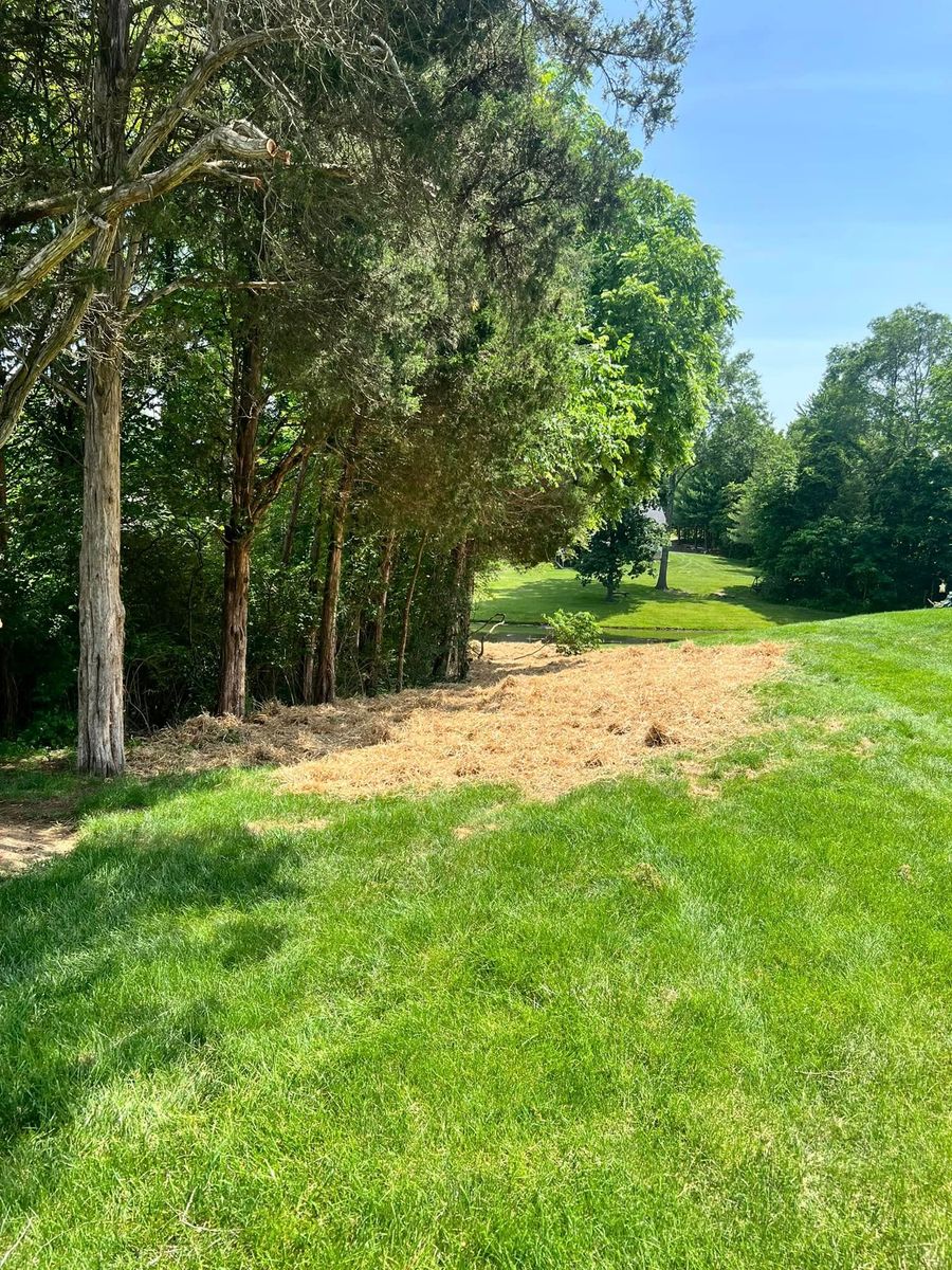 Mulch Installation for Kadin’s Tree Service in North Vernon, IN