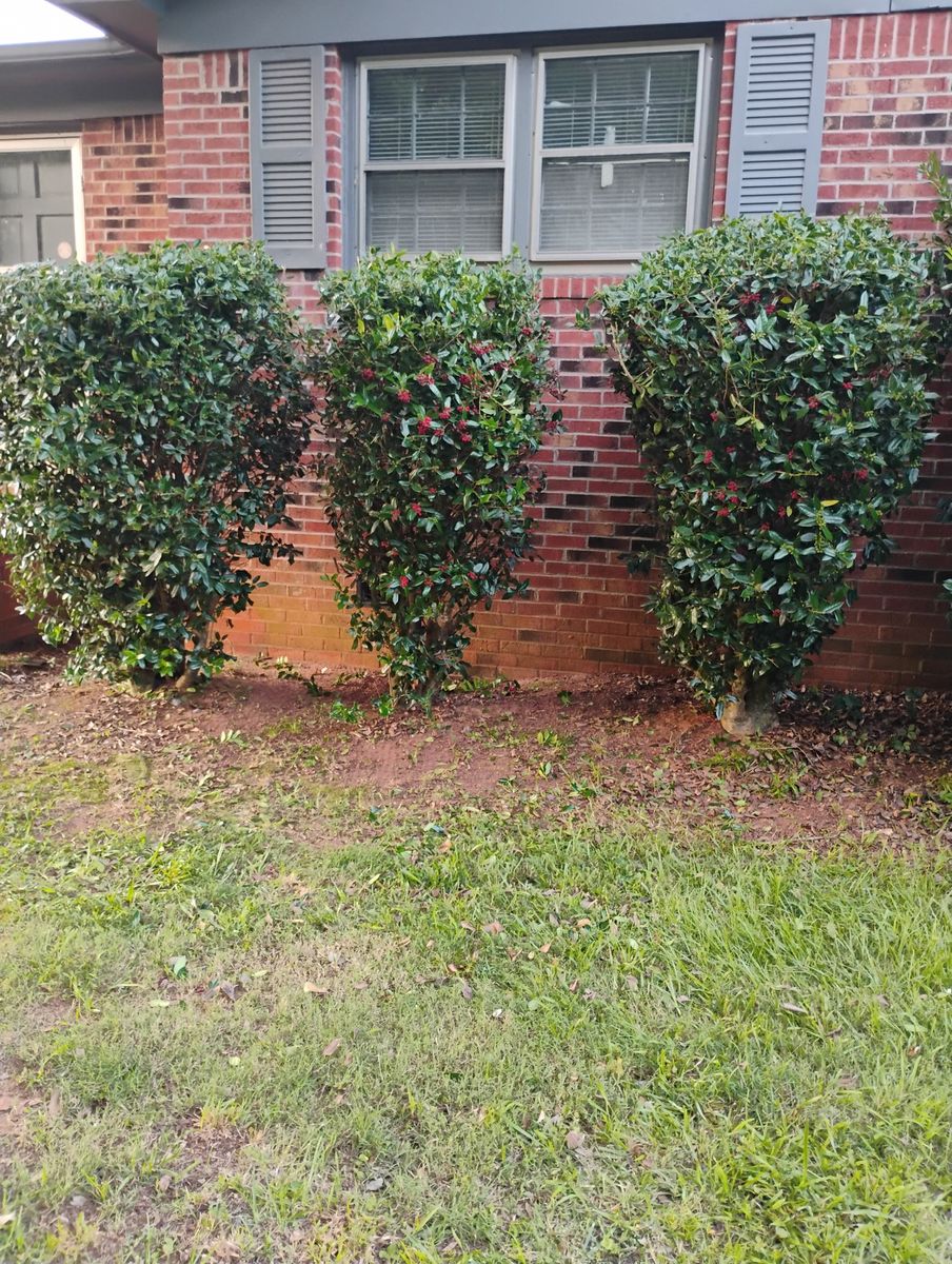 Shrub & Bush Care for Lindsey's Lawn Care in Inman, SC