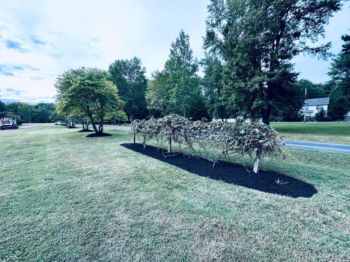 Spring and Fall Clean Up for Nate's Property Maintenance LLC  in Lusby, MD