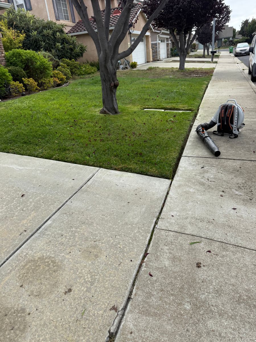 Shrub Trimming for CBA Landscaping in Hayward, CA