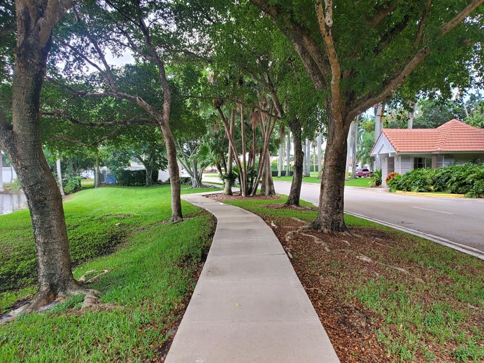 Concrete Cleaning for Zero Pressure Roof Cleaning INC in West Palm Beach, FL