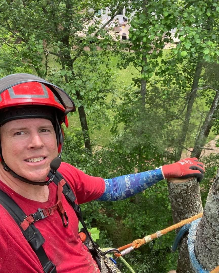 Tree Removal for Pinedown LLC in Cherokee County, GA