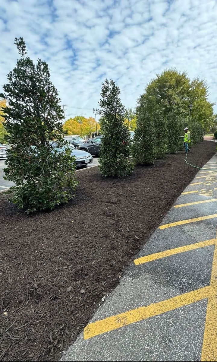 Tree and Shrub Plating for Branch Out Tree Care LLC in Fredericksburg, VA