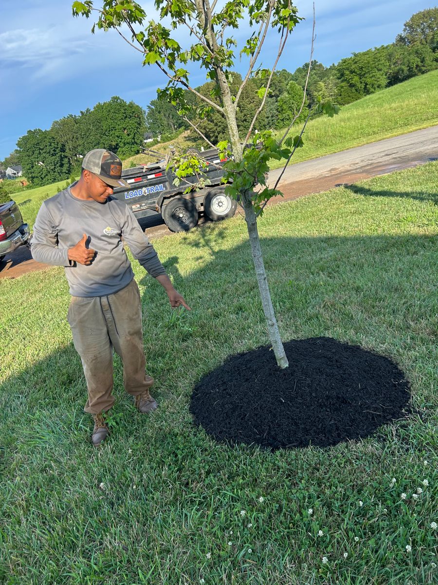 Mulch Installation for Optimum Tree Service And Landscaping in Bowling Green, KY