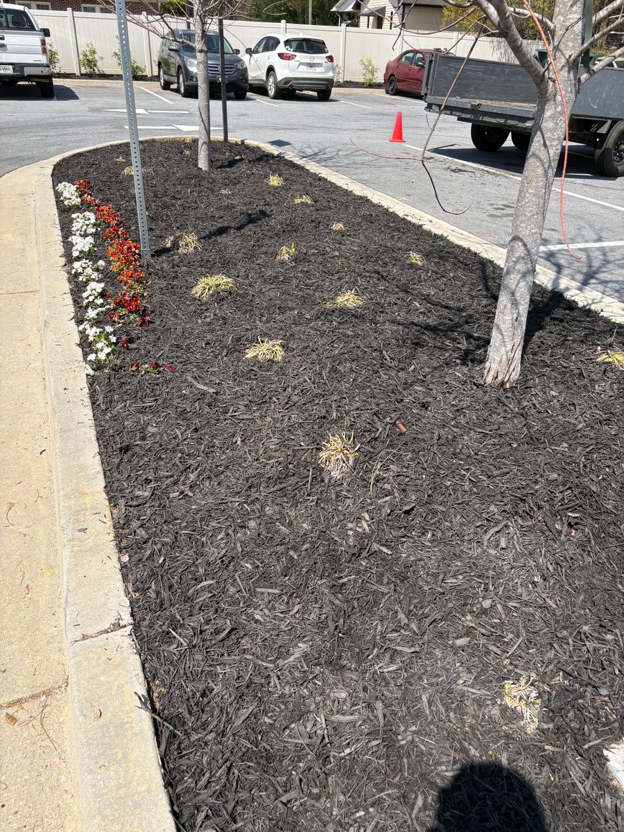 Mulch and Pinestraw Installation for Taylormade Lawn Management in Clarkesville, GA