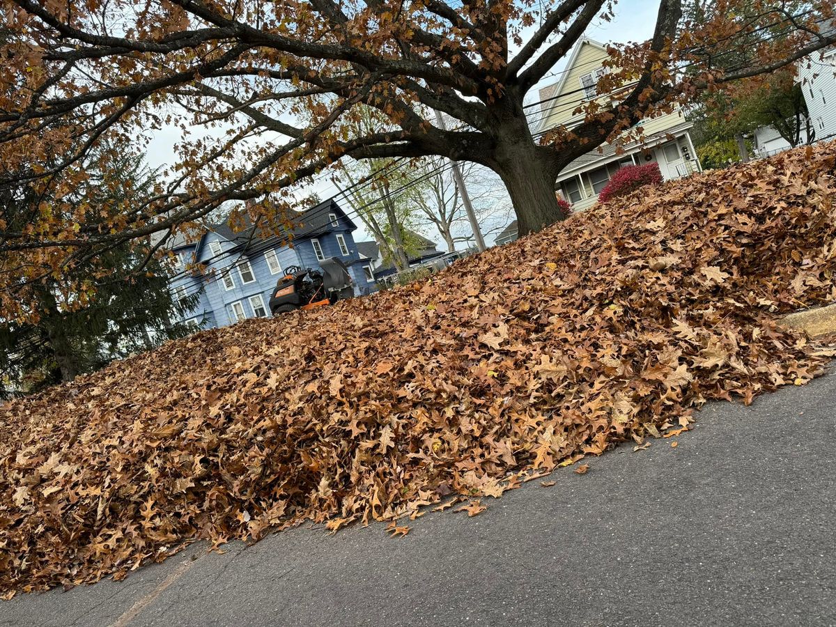 Fall Clean Up for KMK Property Maintenance in Berlin, CT