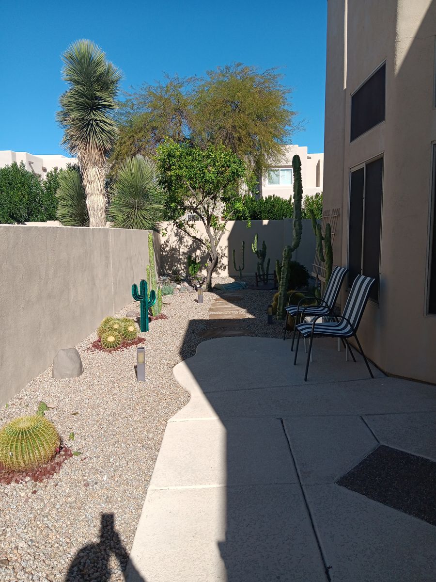 Shrub Trimming for Family Landscaping in Phoenix, AZ