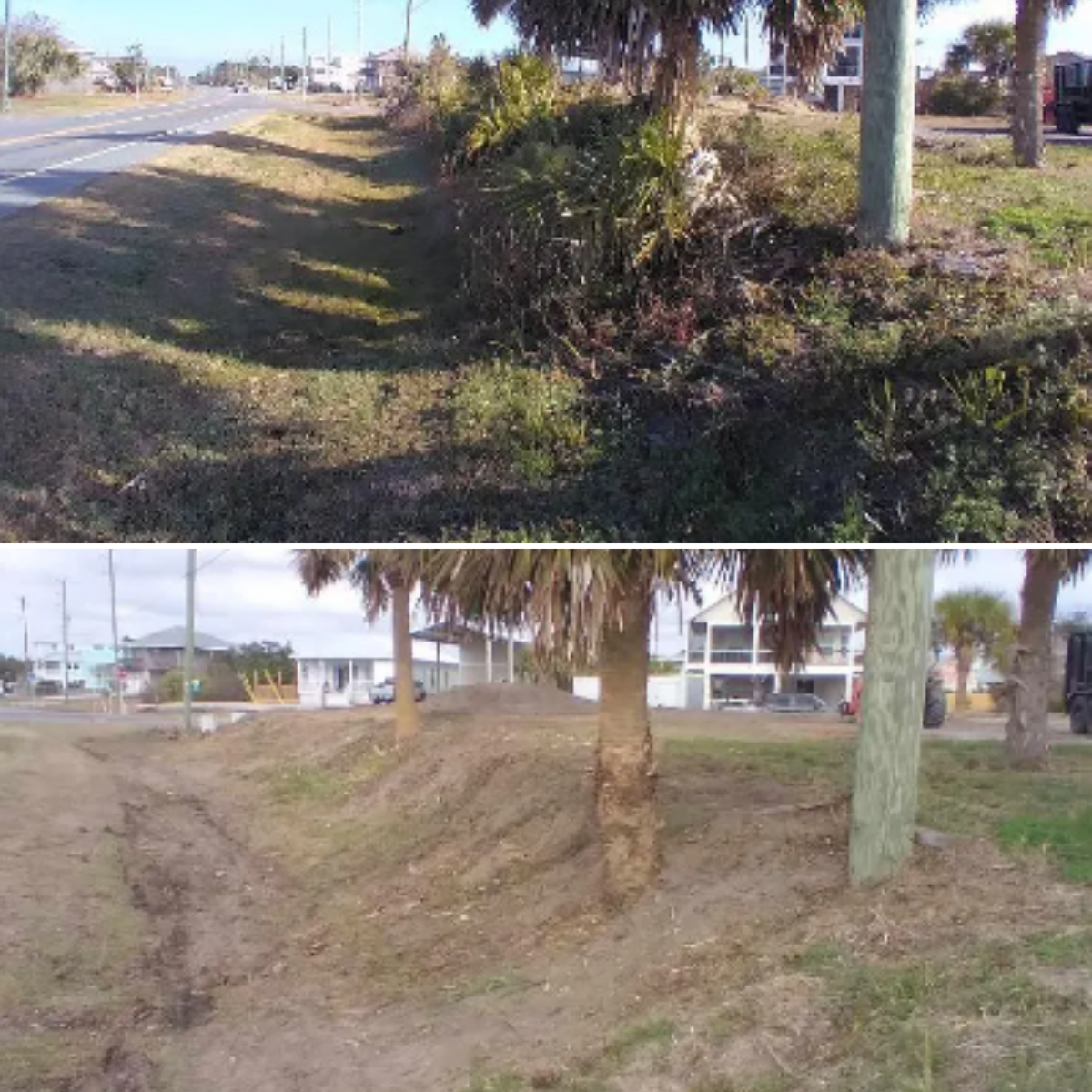 Tree and Shrub Care for Landrum’s Lawn & Tractor Services in Blountstown, FL