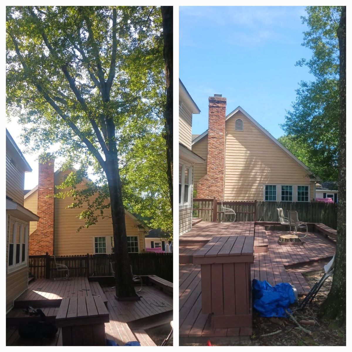 Tree Removal for Trees Unlimited of the CSRA in Augusta, GA