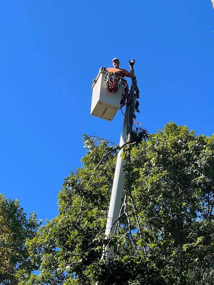 Tree Experts for Scott's Tree Service in Athens, TN