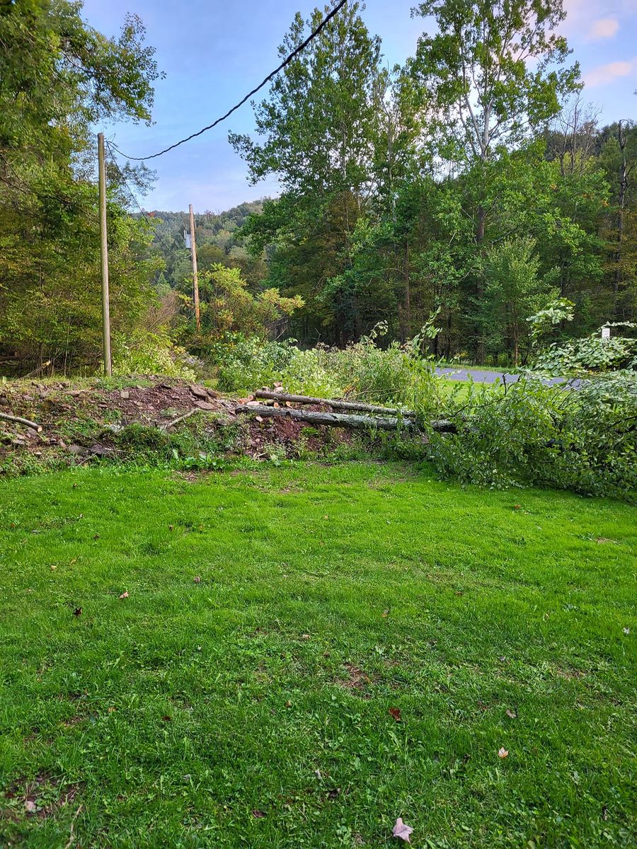 Tree Removal for Fowler's Tree Service LLC. in New Albany, PA