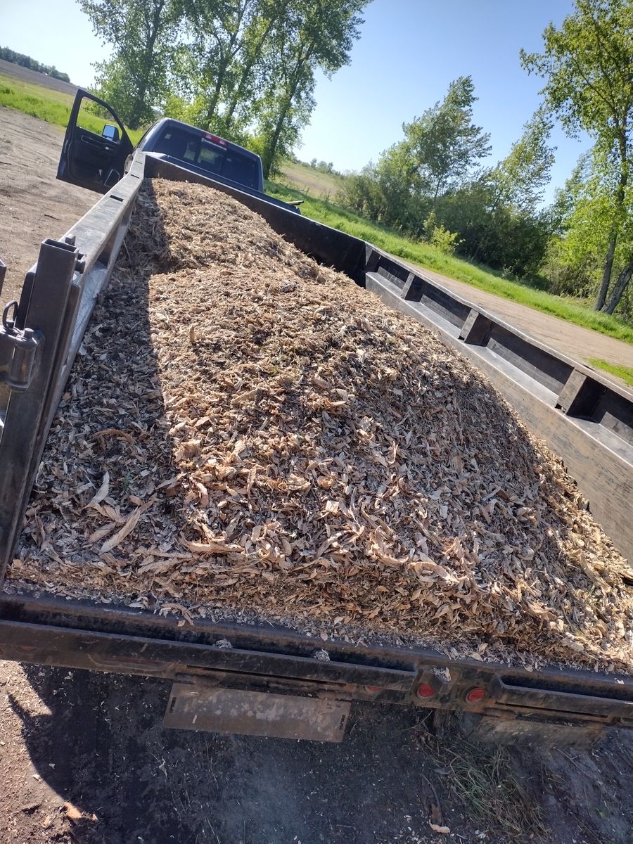 Stump Removal for Dan's tree service in Bemidji, MN