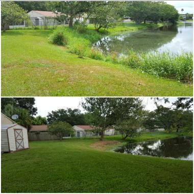 Mowing for 1 Friendly Lawn Service in Tampa, FL