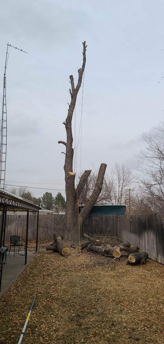 Tree Removal for SMH Tree Service in Atwood, KS