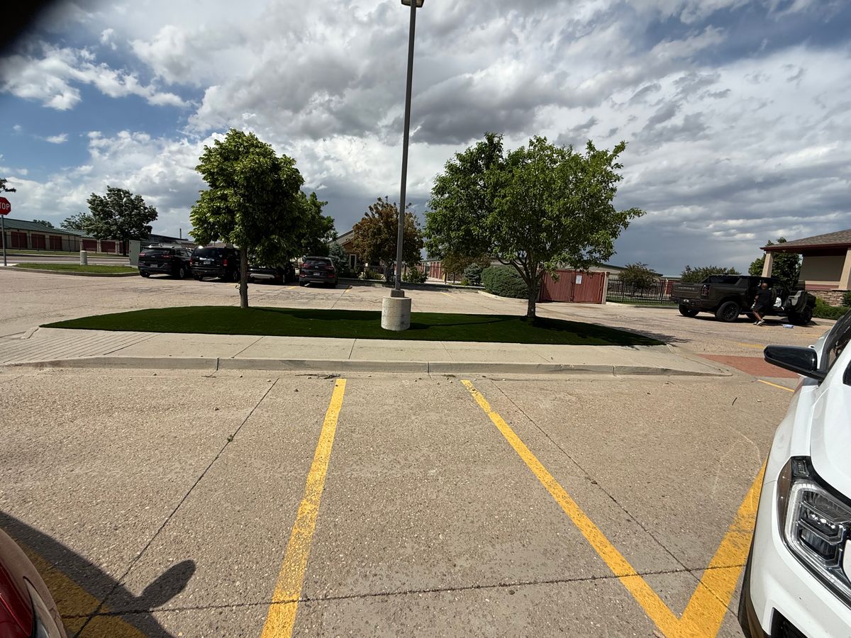 Artificial Turf Installation for Forever Green Turf Pros in Greeley, CO